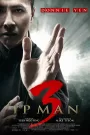 Ip Man 3. – A védelmező