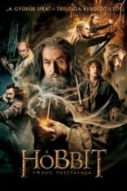 A hobbit 2: Smaug pusztasága filminvazio.hu