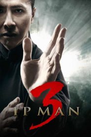 Ip Man 3: A védelmező