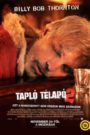 Tapló télapó 2.