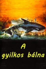 A gyilkos bálna filminvazio.hu