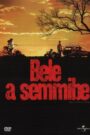 Bele a semmibe