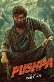 Pushpa: The Rise – Part 1 filminvazio.hu