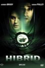 Hibrid