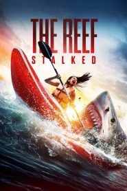 The Reef: Stalked filminvazio.hu
