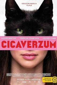 Cicaverzum