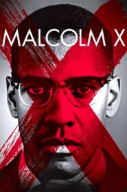 Malcolm X filminvazio.hu