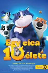 Egy cica 10 élete