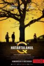Határtalanul / Q ügyosztály 6.