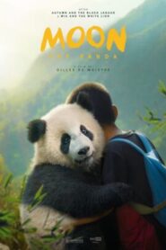Moon, a panda