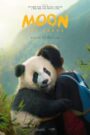 Moon, a panda