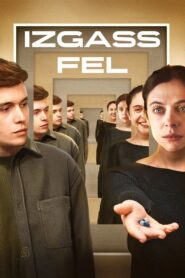 Izgass fel