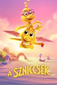 A szniccsek