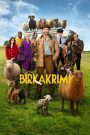 Birkakrimi