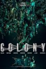 Colony