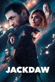 Jackdaw filminvazio.hu