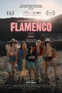 A flamingó titokzatos pillantása